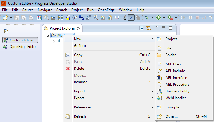 OpenEdge types missing in New menu in Custom Perspective - Progress ...